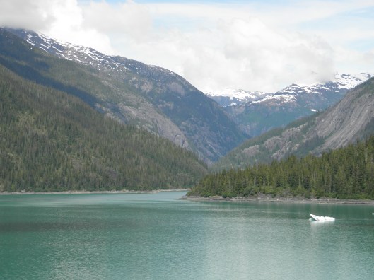 Endicott Arm Fjord